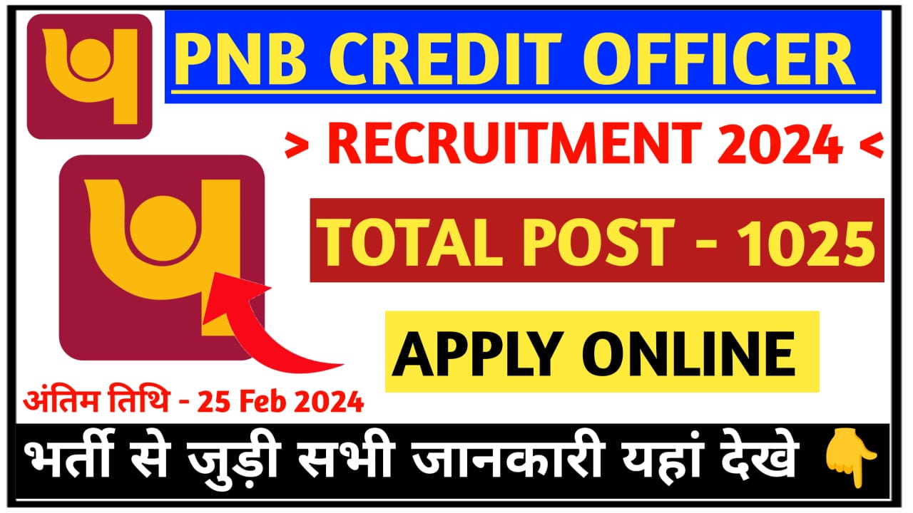 PNB Credit Officer Recruitment Apply 2024